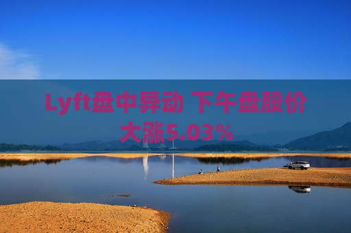 Lyft盘中异动 下午盘股价大涨5.03%