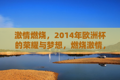  *** 燃烧，2014年欧洲杯的荣耀与梦想，燃烧 *** ，荣耀与梦想，回顾2014年欧洲杯，回顾 *** 燃烧，2014年欧洲杯的荣耀与梦想  第1张