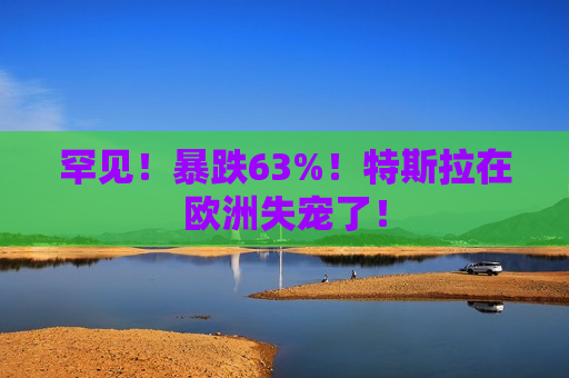 罕见！暴跌63%！特斯拉在欧洲失宠了！  第1张