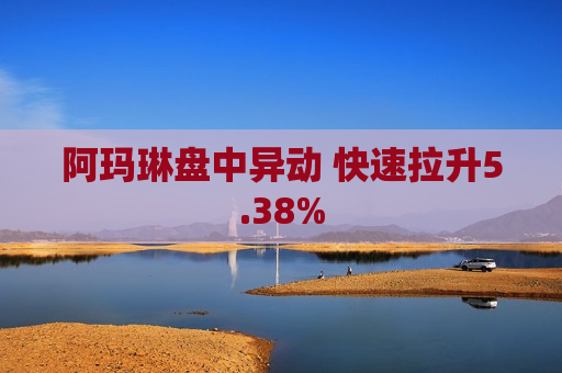 阿玛琳盘中异动 快速拉升5.38%  第1张