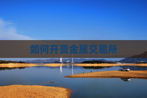 如何开贵金属交易所