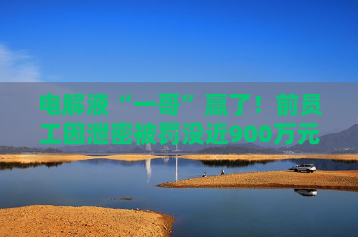电解液“一哥”赢了！前员工因泄密被罚没近900万元  第1张
