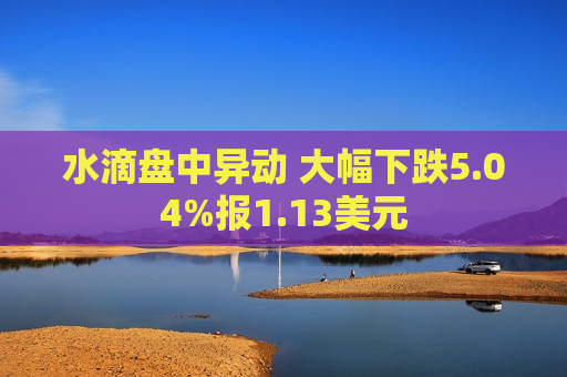 水滴盘中异动 大幅下跌5.04%报1.13美元