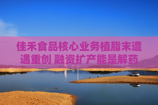 佳禾食品核心业务植脂末遭遇重创 融资扩产能是解药吗？  第1张