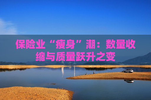保险业“瘦身”潮：数量收缩与质量跃升之变