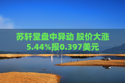 苏轩堂盘中异动 股价大涨5.44%报0.397美元  第1张