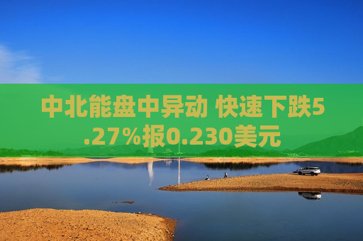 中北能盘中异动 快速下跌5.27%报0.230美元