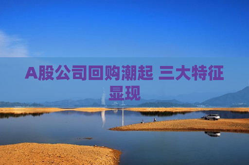A股公司回购潮起 三大特征显现
