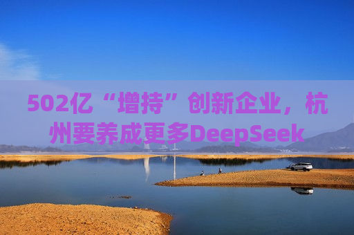 502亿“增持”创新企业，杭州要养成更多DeepSeek