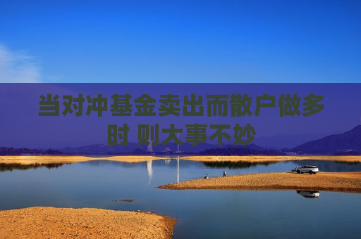 当对冲基金卖出而散户做多时 则大事不妙