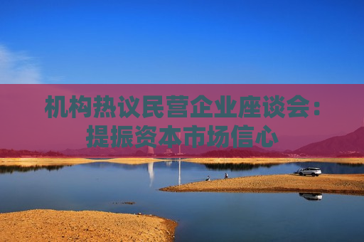 机构热议民营企业座谈会：提振资本市场信心