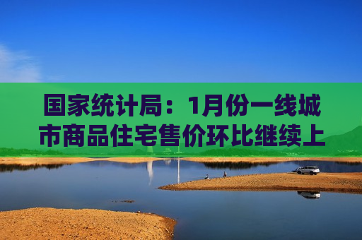 国家统计局：1月份一线城市商品住宅售价环比继续上涨
