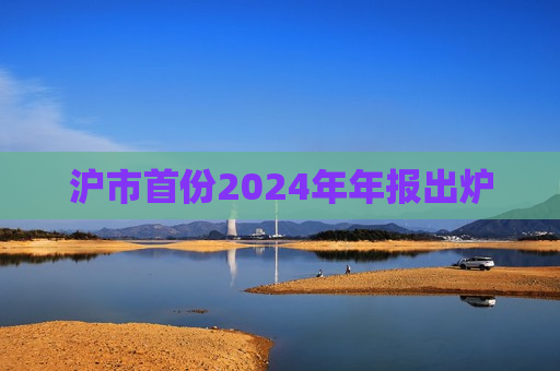 沪市首份2024年年报出炉