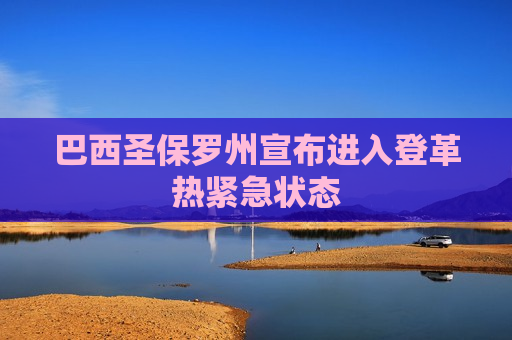 巴西圣保罗州宣布进入登革热紧急状态  第1张