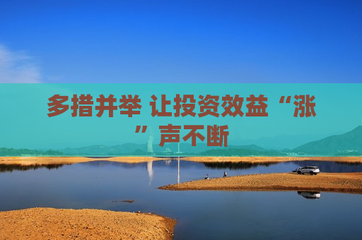 多措并举 让投资效益“涨”声不断