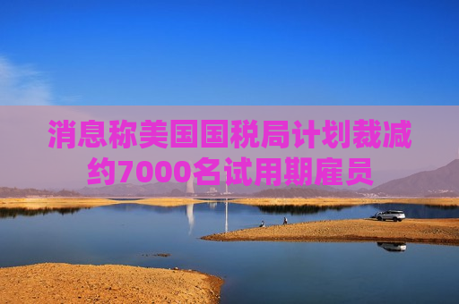 消息称美国国税局计划裁减约7000名试用期雇员