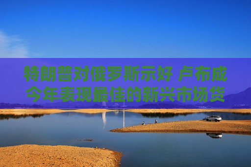 特朗普对俄罗斯示好 卢布成今年表现更佳的新兴市场货币  第1张