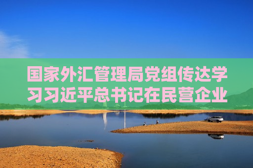 国家外汇管理局党组传达学习 *** 总书记在民营企业座谈会上的重要讲话精神