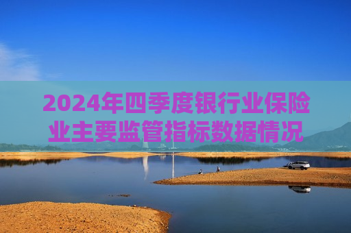 2024年四季度银行业保险业主要监管指标数据情况
