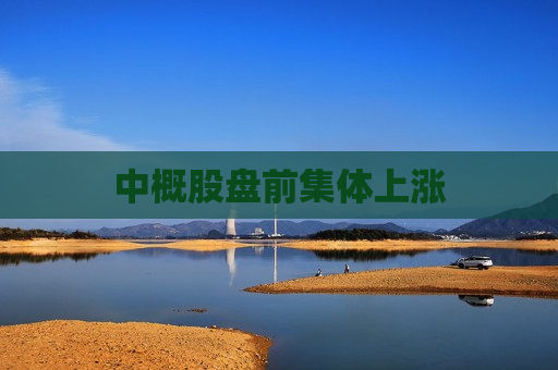 中概股盘前集体上涨