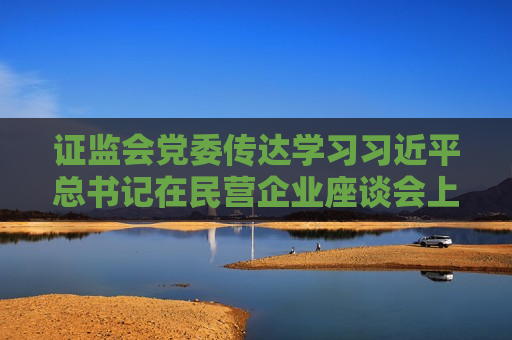  *** 党委传达学习 *** 总书记在民营企业座谈会上的重要讲话精神