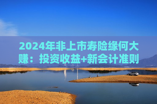 2024年非上市寿险缘何大赚：投资收益+新会计准则
