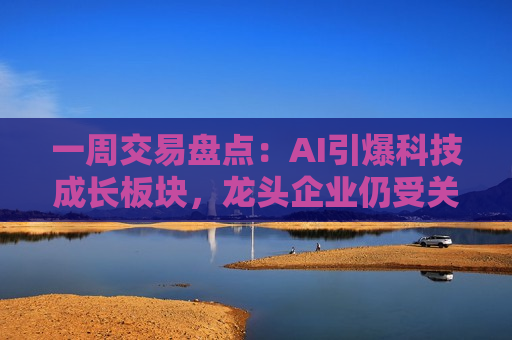 一周交易盘点：AI引爆科技成长板块，龙头企业仍受关注