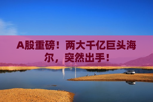 A股重磅！两大千亿巨头海尔，突然出手！