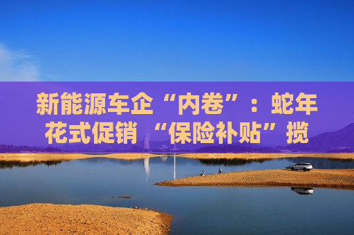 新能源车企“内卷”：蛇年花式促销 “保险补贴”揽客！