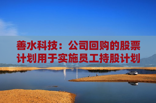 善水科技：公司回购的股票计划用于实施员工持股计划及/或股权激励  第1张