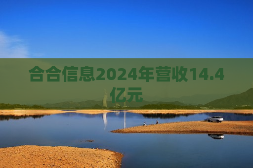 合合信息2024年营收14.4亿元