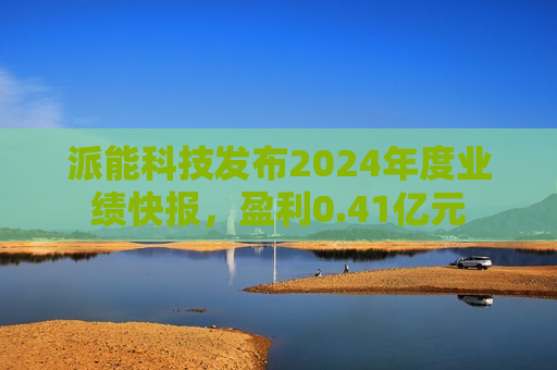 派能科技发布2024年度业绩快报，盈利0.41亿元