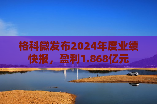 格科微发布2024年度业绩快报，盈利1.868亿元