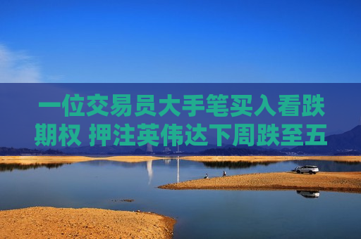 一位交易员大手笔买入看跌期权 押注英伟达下周跌至五个月低点