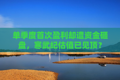 单季度首次盈利却遭资金砸盘，寒武纪估值已见顶？
