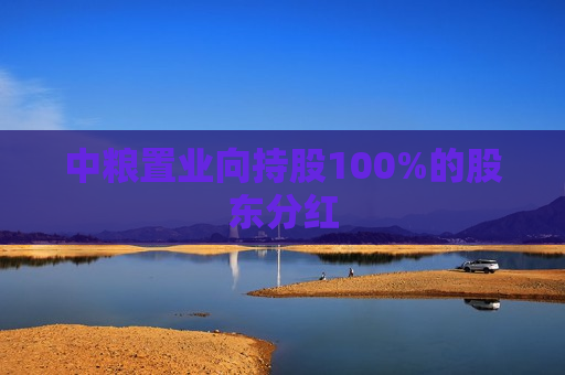 中粮置业向持股100%的股东分红