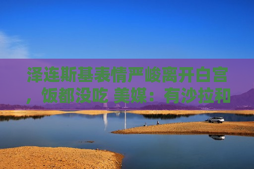泽连斯基表情严峻离开白宫，饭都没吃 美媒：有沙拉和烤鸡等  第1张