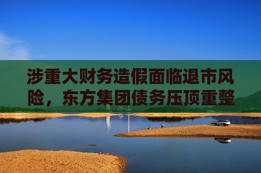 涉重大财务造假面临退市风险，东方集团债务压顶重整存变数  第1张