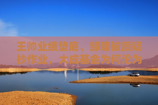 王帅业绩垫底、邹建被质疑抄作业，大成基金为何沦为“失意者”