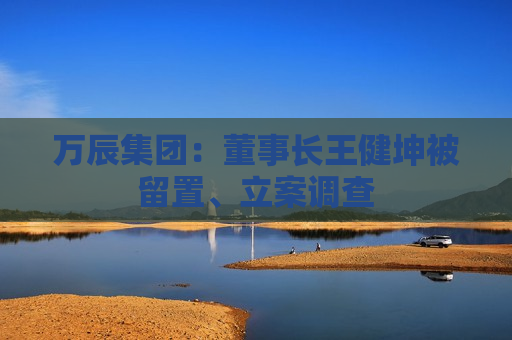 万辰集团：董事长王健坤被留置、立案调查