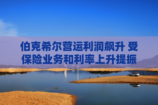 伯克希尔营运利润飙升 受保险业务和利率上升提振