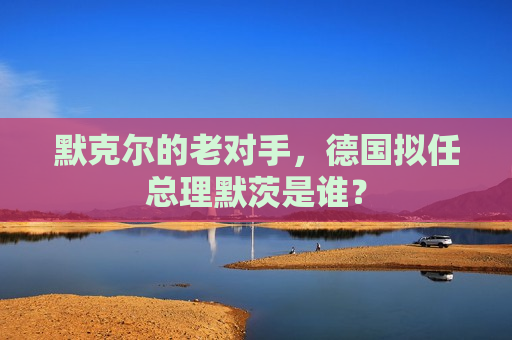 默克尔的老对手，德国拟任总理默茨是谁？  第1张