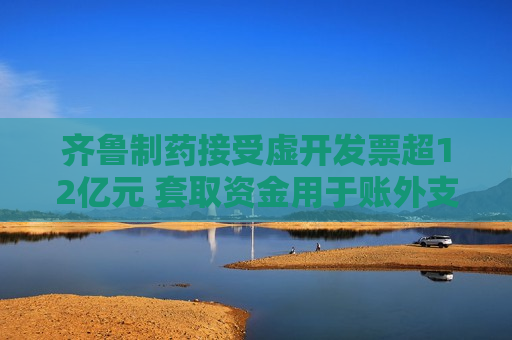齐鲁制药接受虚开发票超12亿元 套取资金用于账外支出