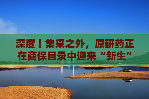 深度丨集采之外，原研药正在商保目录中迎来“新生”