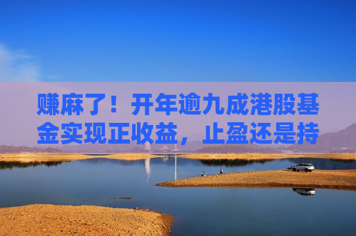 赚麻了！开年逾九成港股基金实现正收益，止盈还是持有？