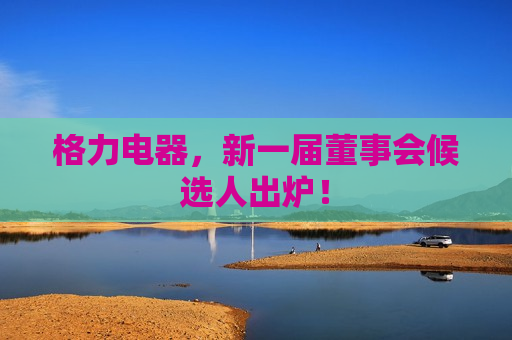 格力电器，新一届董事会候选人出炉！
