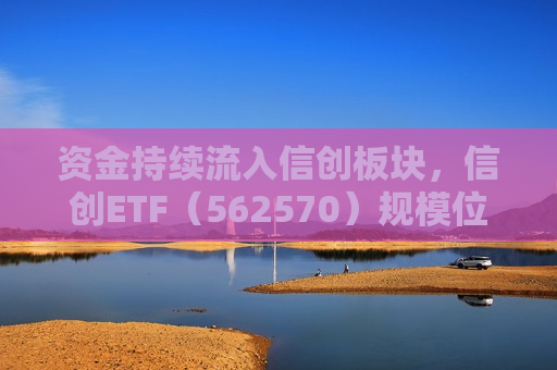 资金持续流入信创板块，信创ETF（562570）规模位列赛道之一
