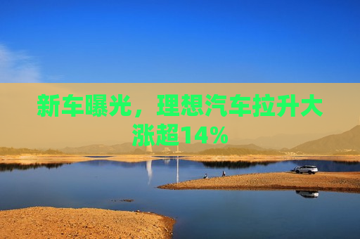 新车曝光，理想汽车拉升大涨超14%