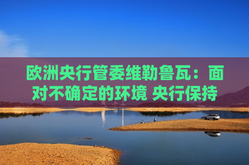 欧洲央行管委维勒鲁瓦：面对不确定的环境 央行保持开放态度  第1张