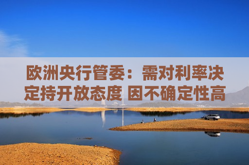 欧洲央行管委：需对利率决定持开放态度 因不确定性高企